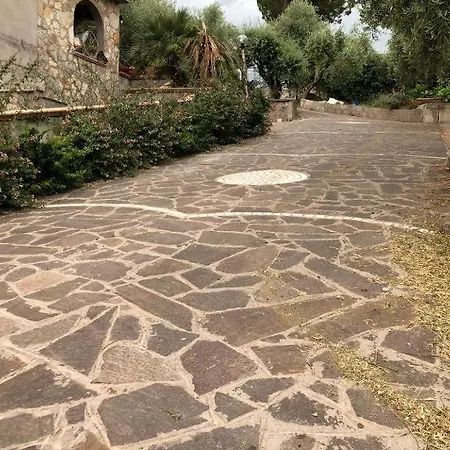 Tatil Evi La Casa Tra Gli Ulivi Di 1 *